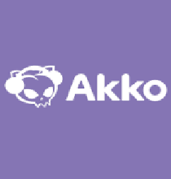 Akkogear Codes